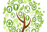 多參數(shù)水質(zhì)分析儀招標(biāo)參數(shù)是什么？有什么要求？