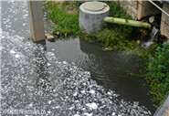 污水處理廠進(jìn)水口水質(zhì)、出水口水質(zhì)12項(xiàng)必檢項(xiàng)目指標(biāo)